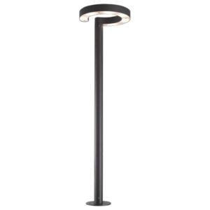 ledlum pole lights : 12x2W