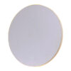 ledlum outdoor wall light  1x12W