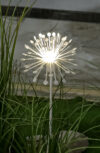 ledlum outdoor sticks lights